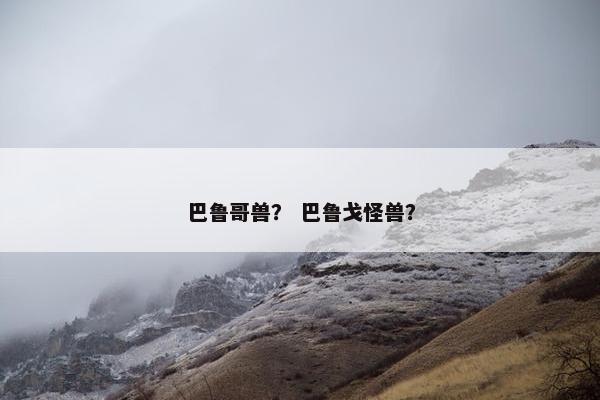 巴鲁哥兽？ 巴鲁戈怪兽？