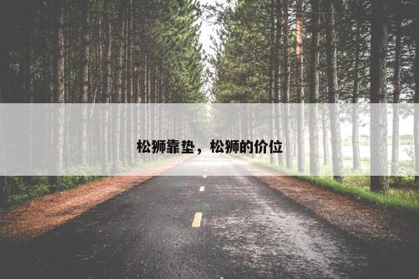 松狮靠垫，松狮的价位