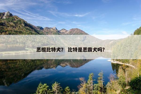 斯坦福