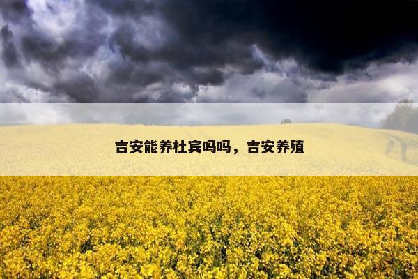 吉安能养杜宾吗吗，吉安养殖