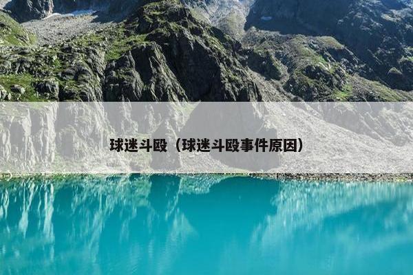 球迷斗殴（球迷斗殴事件原因）