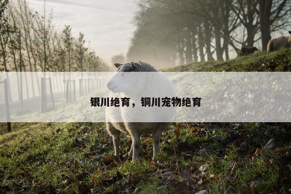 银川绝育，铜川宠物绝育