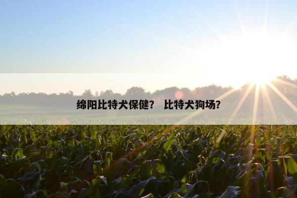 绵阳比特犬保健？ 比特犬狗场？