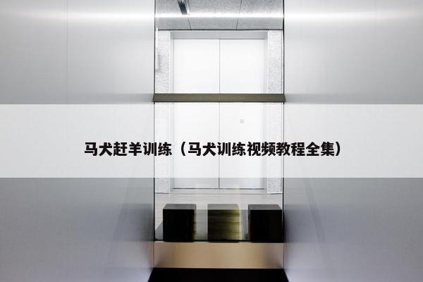 马犬赶羊训练（马犬训练视频教程全集）