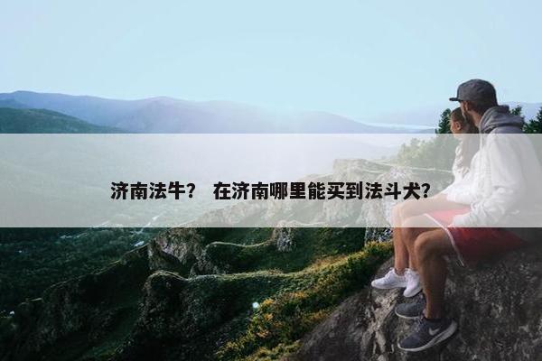 济南法牛？ 在济南哪里能买到法斗犬？