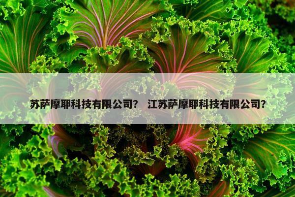 科技