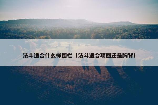 法斗适合什么样围栏（法斗适合项圈还是胸背）