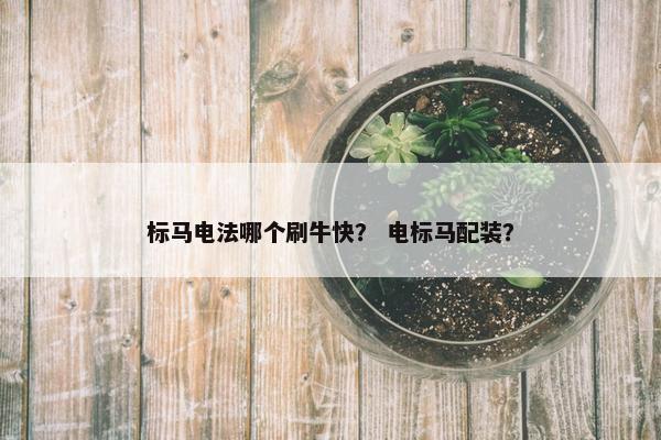 标马电法哪个刷牛快？ 电标马配装？