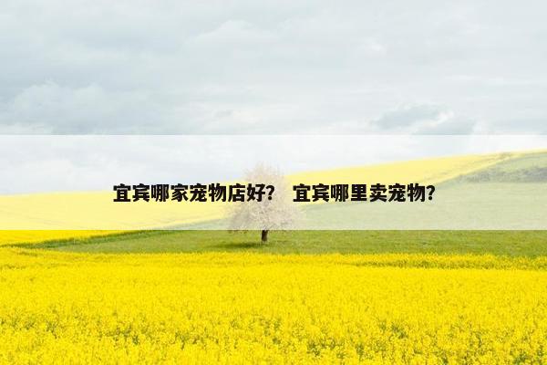 宜宾哪家宠物店好？ 宜宾哪里卖宠物？