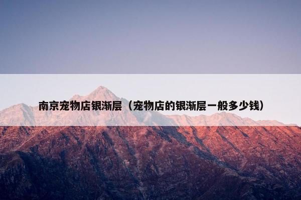 南京宠物店银渐层（宠物店的银渐层一般多少钱）