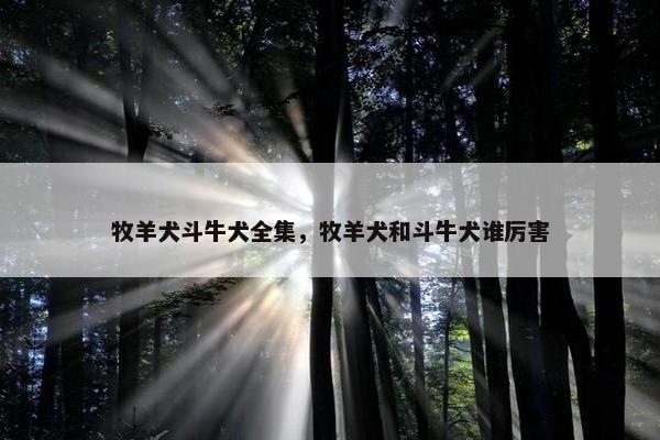 牧羊犬斗牛犬全集，牧羊犬和斗牛犬谁厉害