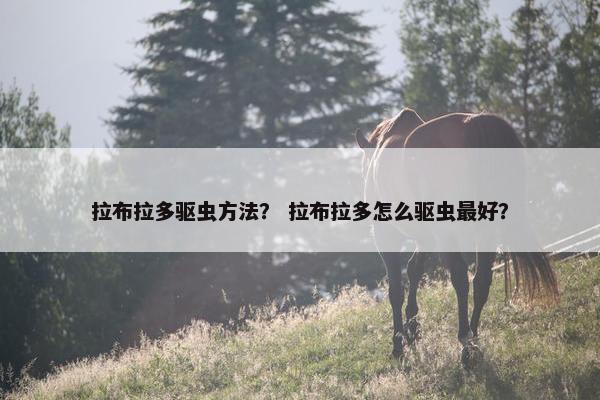 拉布拉多驱虫方法? 拉布拉多怎么驱虫最好?