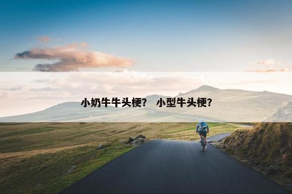 白底