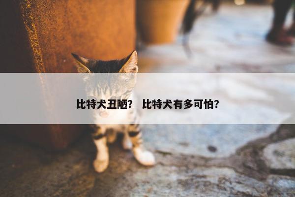 比特犬丑陋? 比特犬有多可怕?