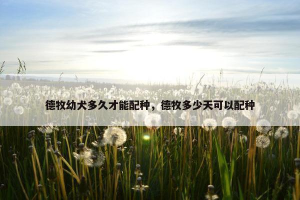 配种 第7页