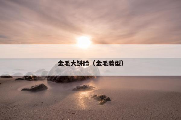 金毛大饼脸（金毛脸型）