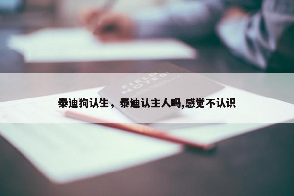泰迪狗认生,泰迪认主人吗,感觉不认识