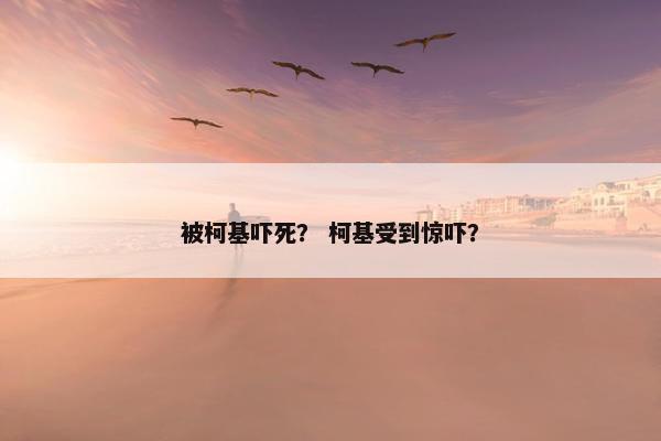 被柯基吓死？ 柯基受到惊吓？