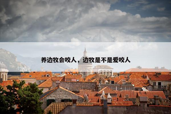 养边牧会咬人，边牧是不是爱咬人