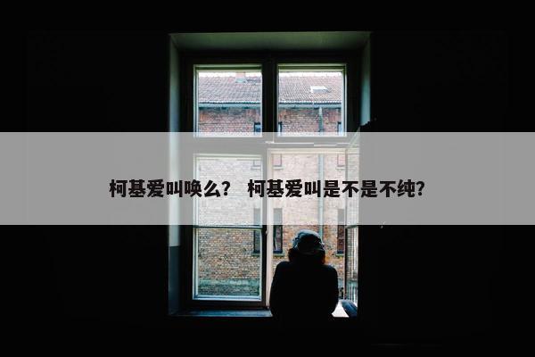 柯基爱叫唤么？ 柯基爱叫是不是不纯？
