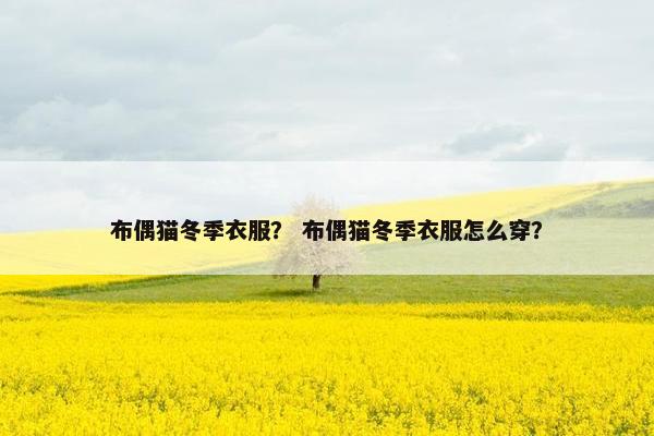布偶猫冬季衣服？ 布偶猫冬季衣服怎么穿？
