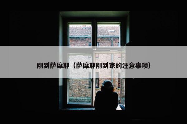 刚到萨摩耶（萨摩耶刚到家的注意事项）