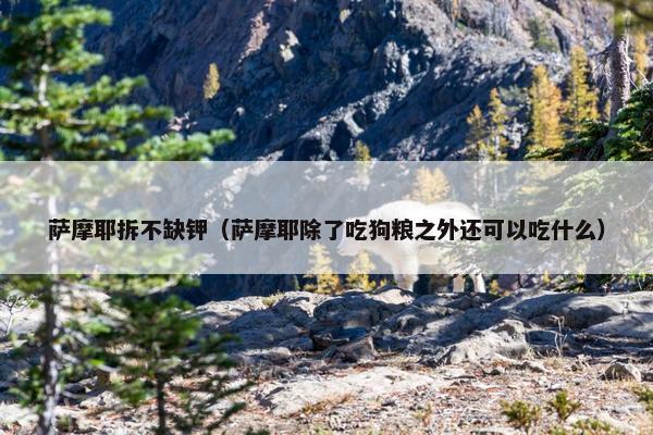 治疗 第3页