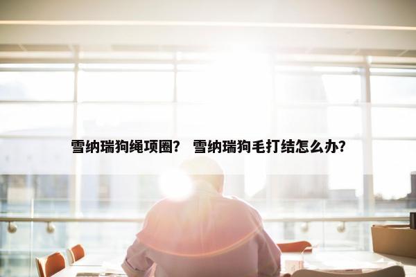 雪纳瑞狗绳项圈？ 雪纳瑞狗毛打结怎么办？