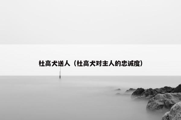 杜高犬送人（杜高犬对主人的忠诚度）