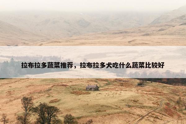 拉布拉多蔬菜推荐，拉布拉多犬吃什么蔬菜比较好