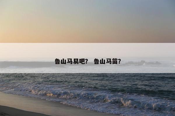 鲁山
