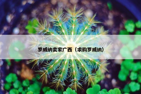 罗威纳卖家广西（求购罗威纳）