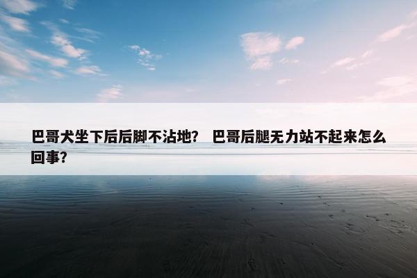巴哥犬坐下后后脚不沾地？ 巴哥后腿无力站不起来怎么回事？