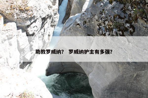 助教罗威纳？ 罗威纳护主有多强？