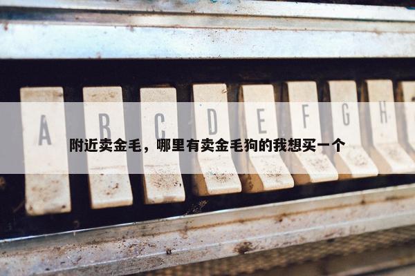 附近卖金毛，哪里有卖金毛狗的我想买一个