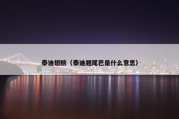 泰迪翅膀（泰迪翘尾巴是什么意思）