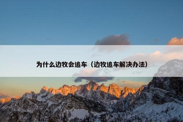 它们 第12页