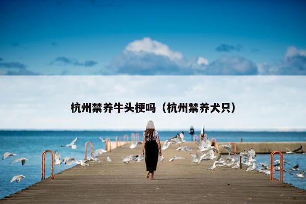 杭州禁养牛头梗吗（杭州禁养犬只）