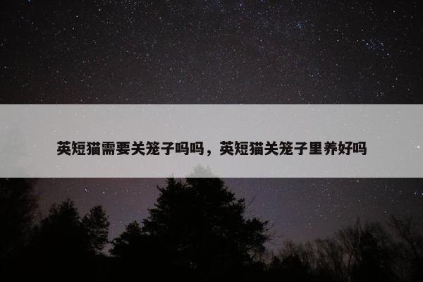 英短猫需要关笼子吗吗，英短猫关笼子里养好吗