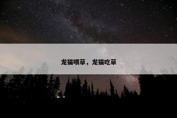 龙猫喂草,龙猫吃草