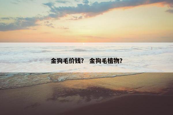 金狗毛价钱? 金狗毛植物?