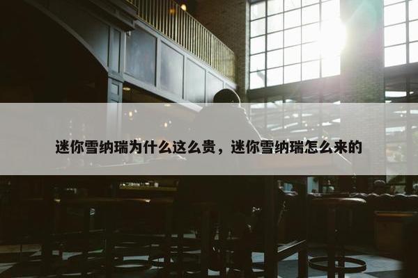 迷你 第3页