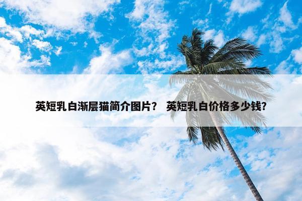英短乳白渐层猫简介图片？ 英短乳白价格多少钱？