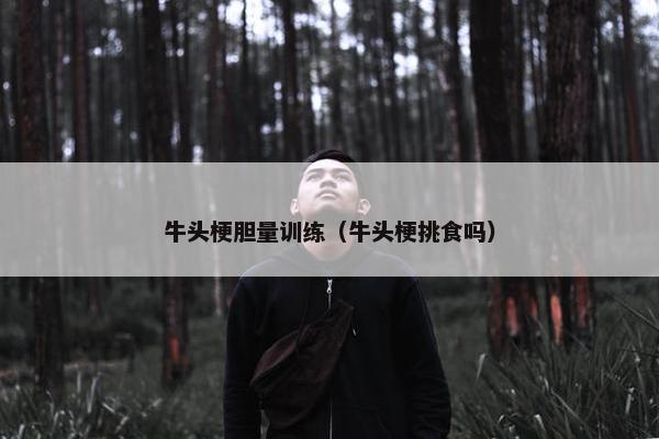 牛头梗胆量训练（牛头梗挑食吗）