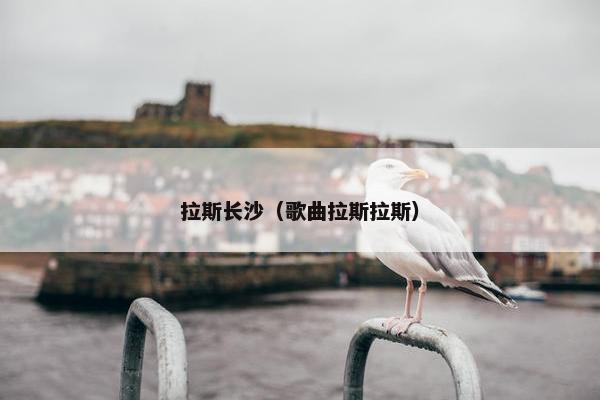 莱斯