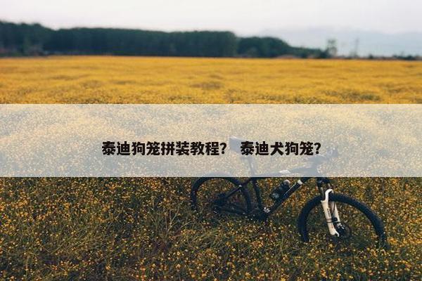 泰迪狗笼拼装教程? 泰迪犬狗笼?