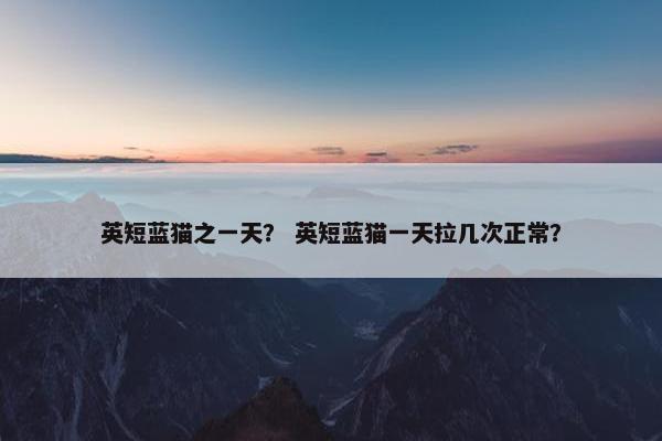 英短蓝猫之一天? 英短蓝猫一天拉几次正常?