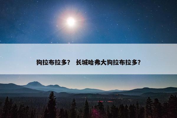 狗拉布拉多？ 长城哈弗大狗拉布拉多？