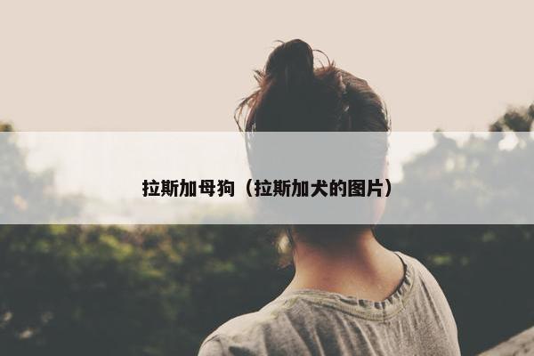 拉斯加母狗（拉斯加犬的图片）