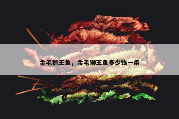 金毛狮王鱼，金毛狮王鱼多少钱一条